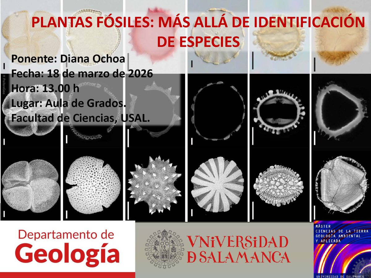 Departamento de Geología USAL tweet media