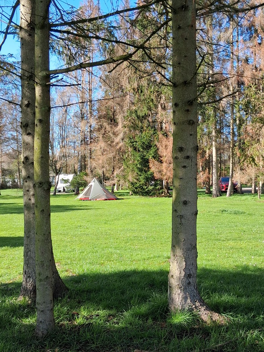 Candy Evans tweet media