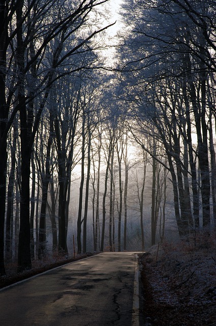 Rusty Maness tweet media