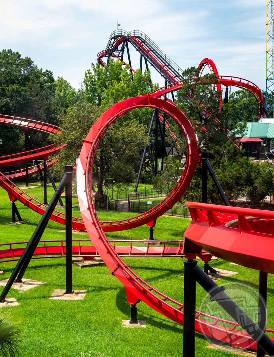 Thrilltography tweet media