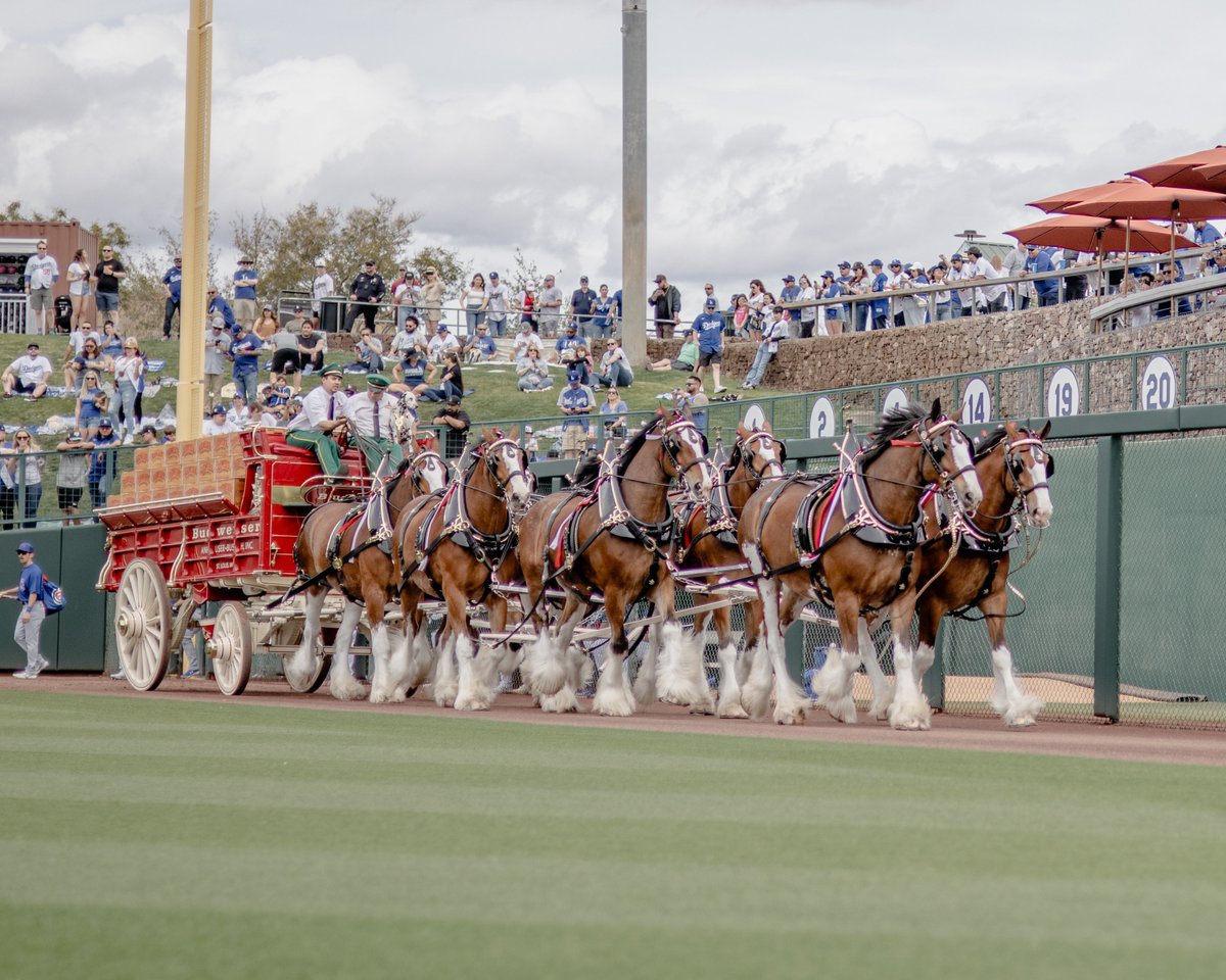 Camelback Ranch tweet media