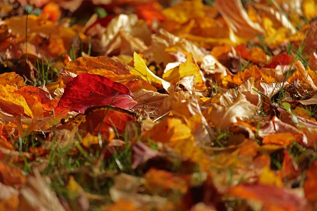 Marilyn Loyal tweet media