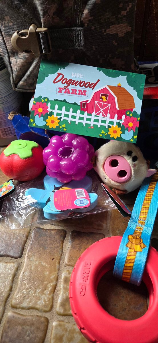 You may call me Sherlock! tweet media