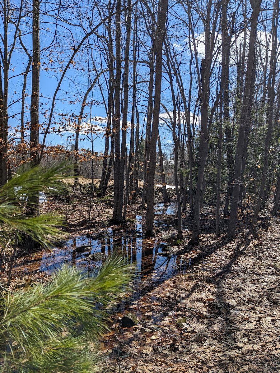 ⓘ Dogs don't have thumbs tweet media