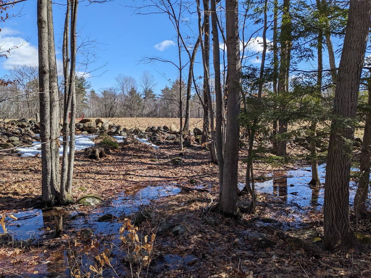 ⓘ Dogs don't have thumbs tweet media