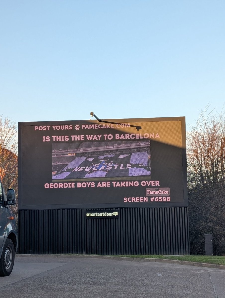 Niki Wright tweet media