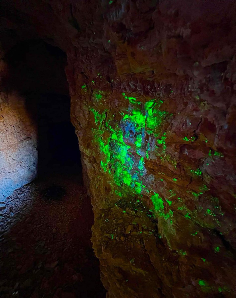 Radioactive Red tweet media