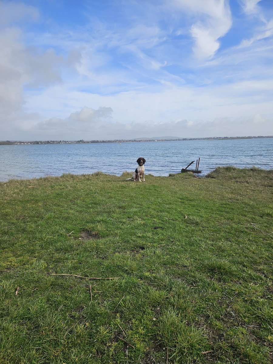 TSD Chhubohe and RSD Oppo (RIP) tweet media