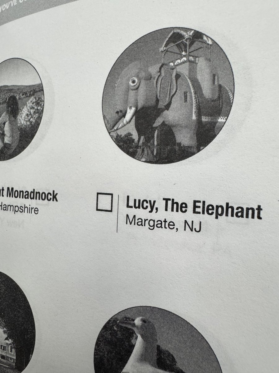 David Bergstein tweet media