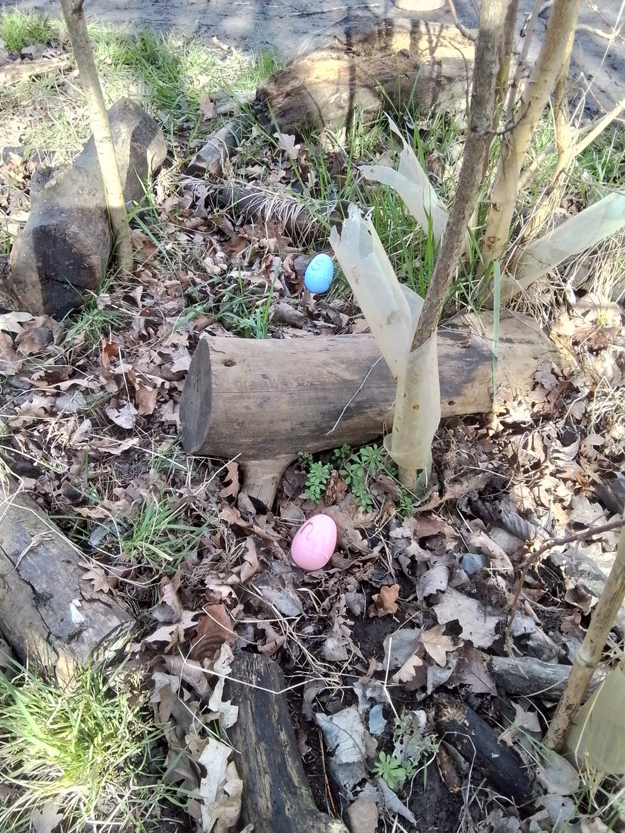 Class 5P tweet media