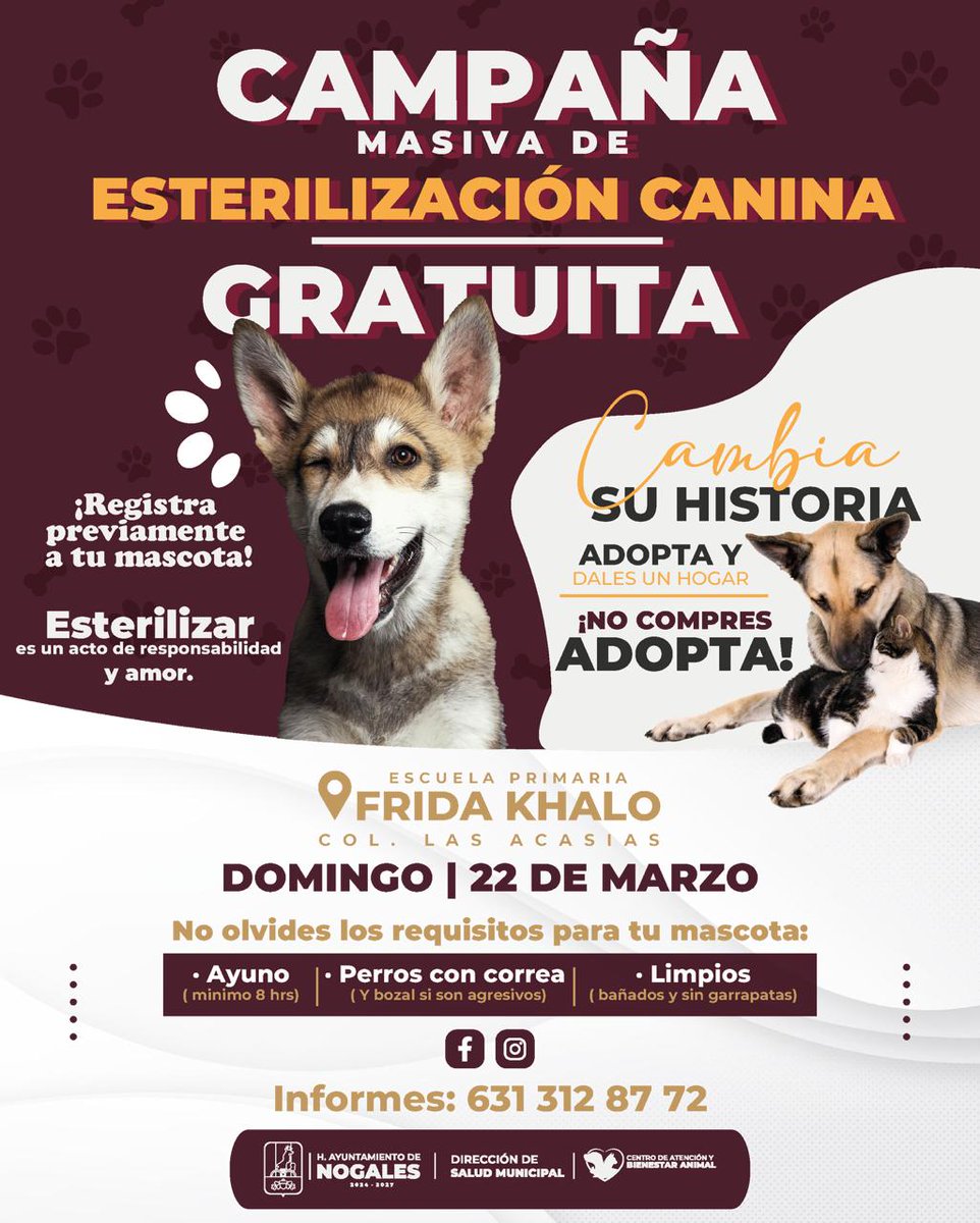 Gobierno de la Ciudad de Nogales tweet media