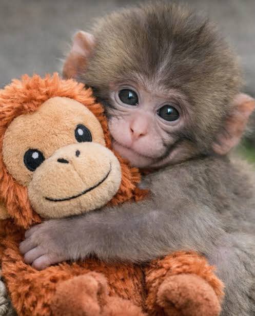 AllenMadeItBack tweet media