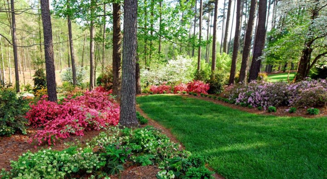 Constance Redd tweet media