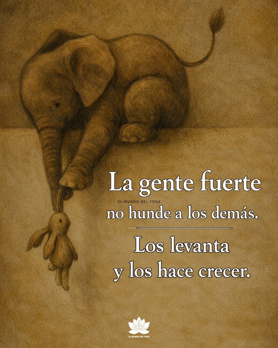 Imperio Estoico. (@imperioestoico) on Twitter photo 