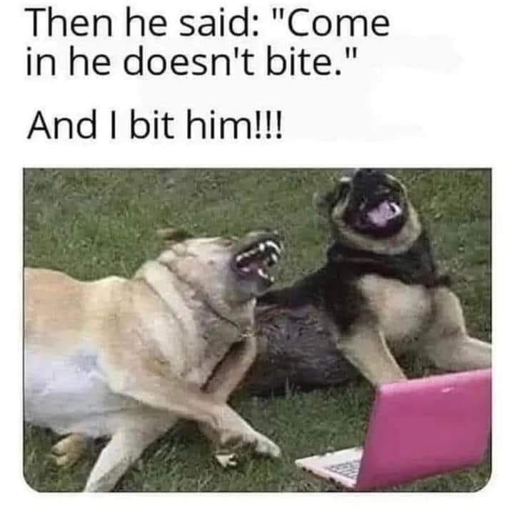 WholesomeMemes tweet media