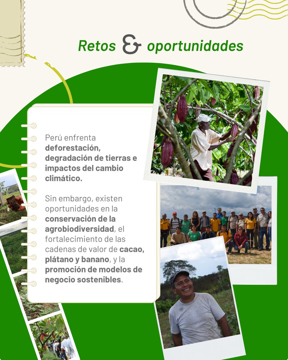 Alianza de Bioversity International y el CIAT tweet media