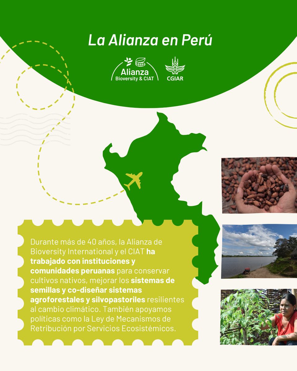 Alianza de Bioversity International y el CIAT tweet media