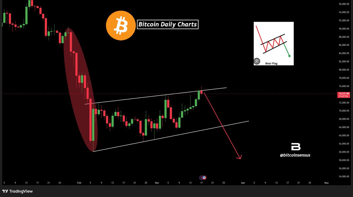 Bitcoinsensus's tweet photo. $BTC BEAR FLAG FORMING 🔻

📉 After the sell-off, Bitcoin is grinding higher inside a rising channel

That structure looks like a classic bear flag into resistance near $74K

 If rejected here, downside could accelerate fast. 

#Bitcoin #Crypto (This content should not be considered FA)
