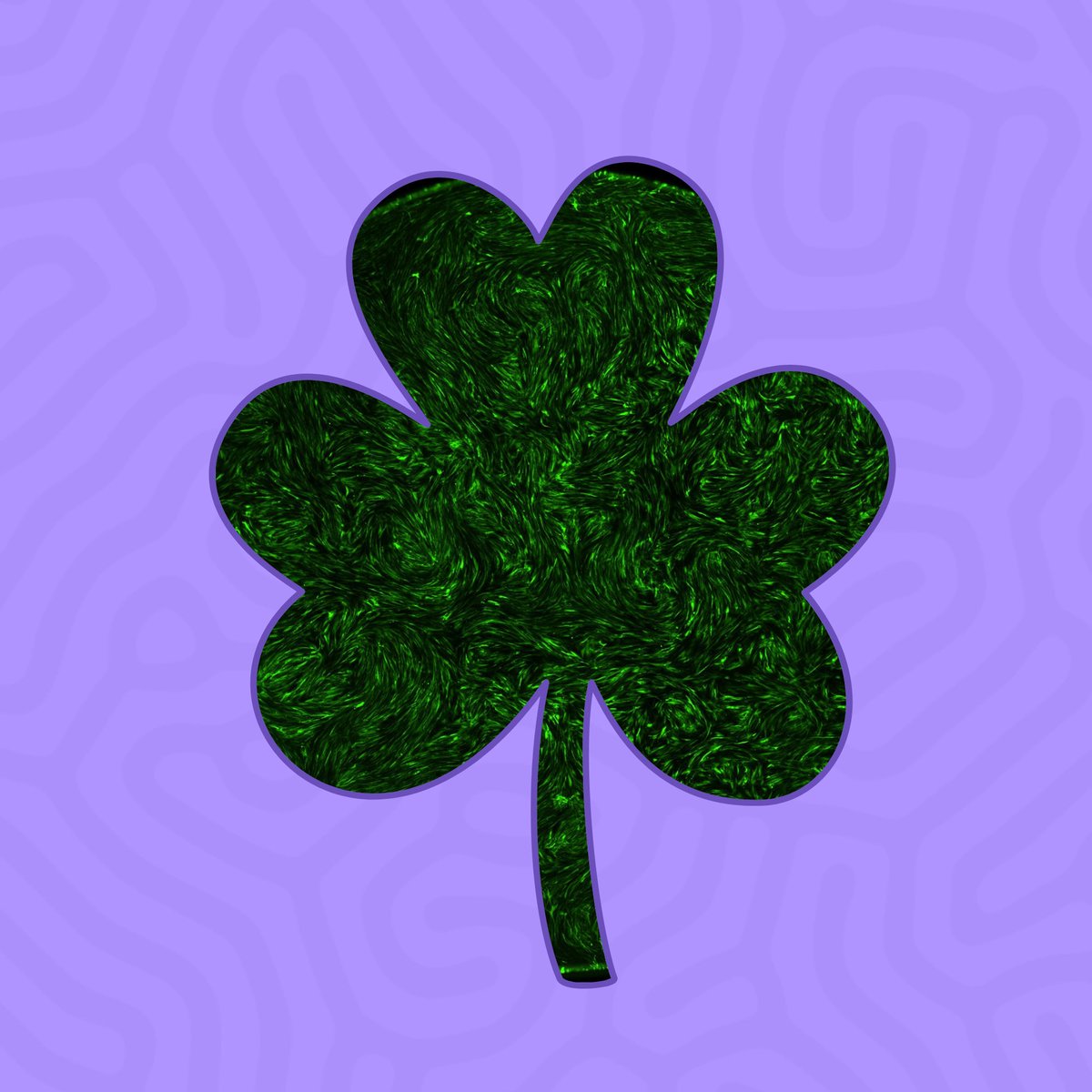 Stowers Institute tweet media