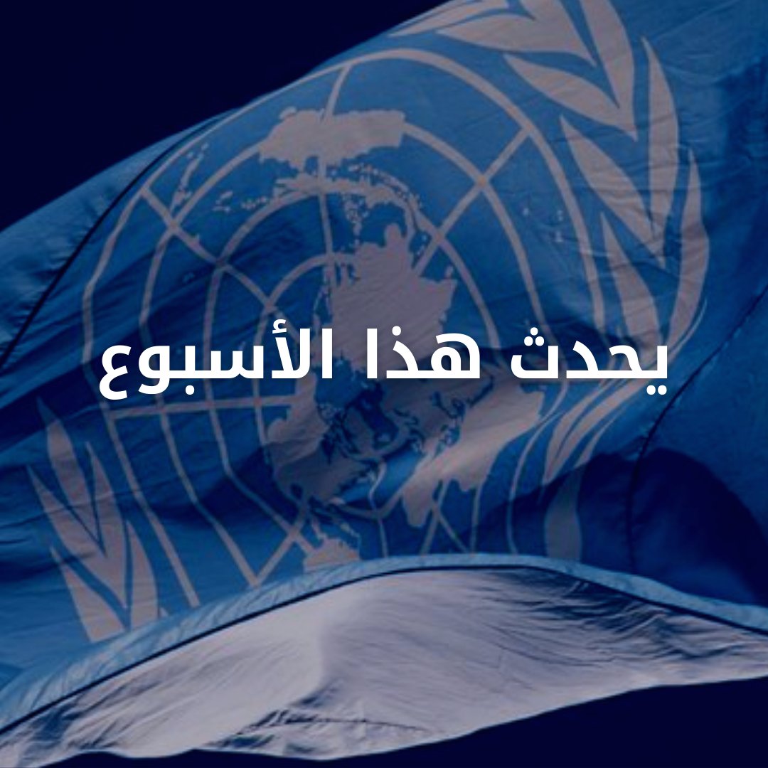 الأمم المتحدة tweet media