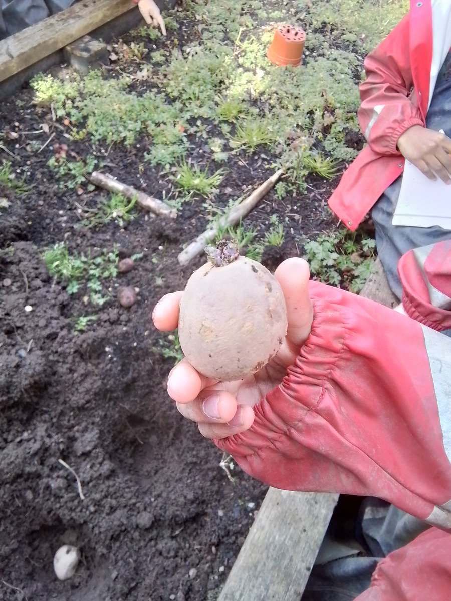 Class 5P tweet media