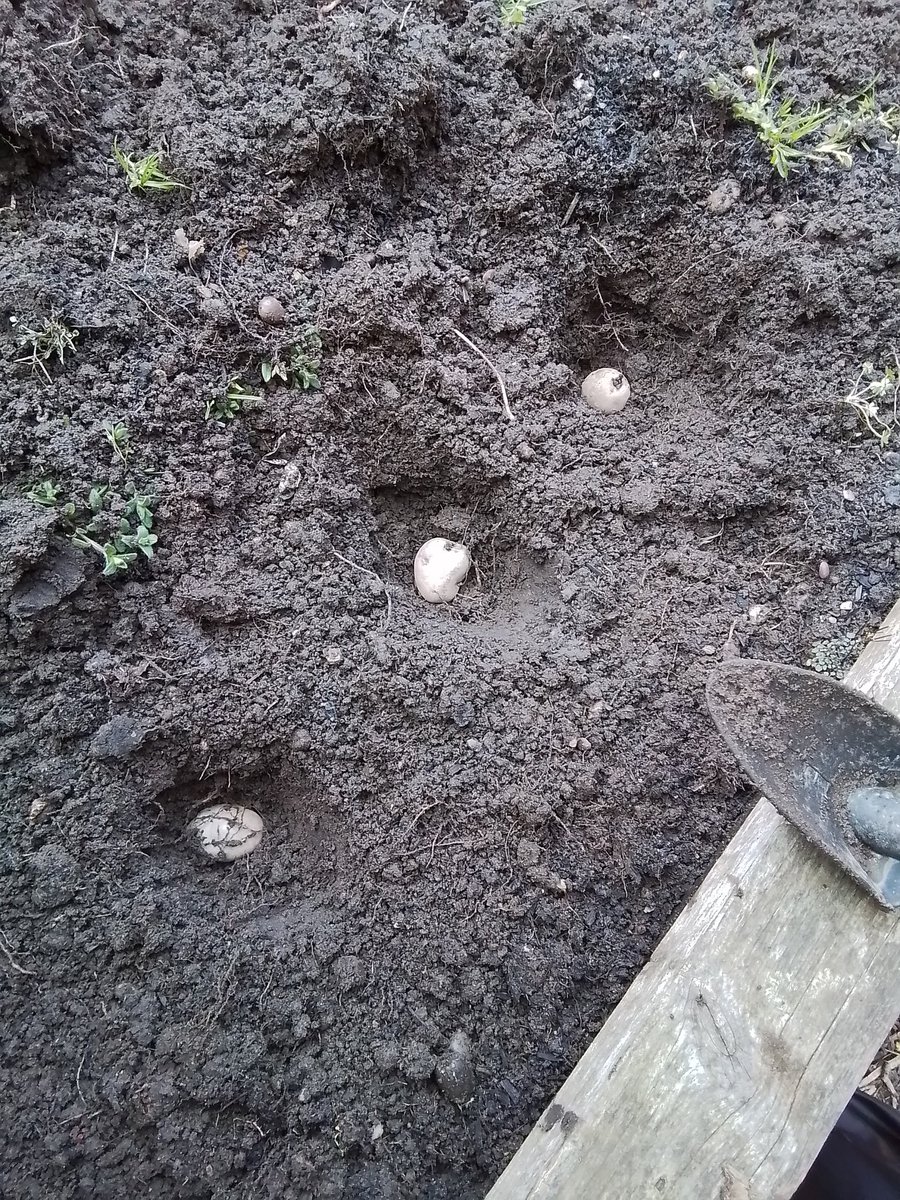 Class 5P tweet media