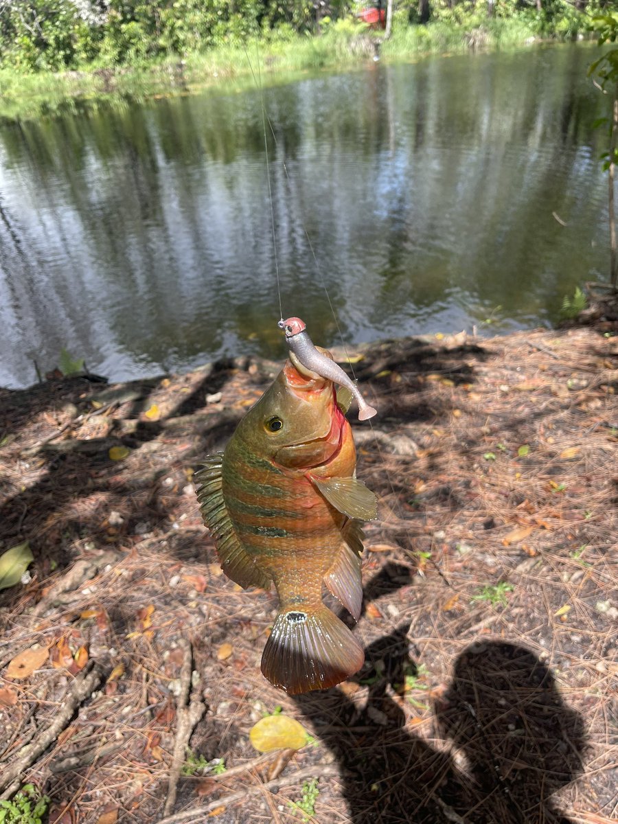 SoFlo James tweet media