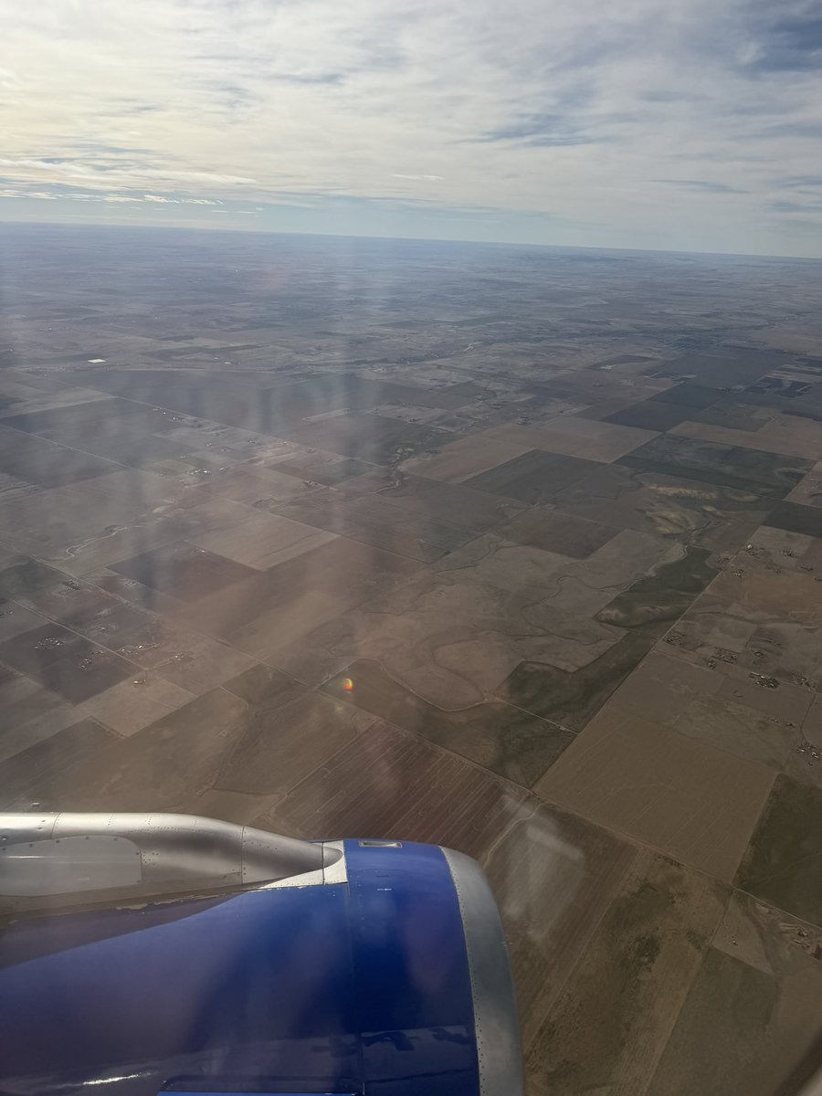 shannonmmiller's tweet image. I’m excited to head to Palm Springs for Spring CUE powered by @joincalie today. @liadossin and I are bringing the @FutureReady Librarians Summit to the event. We hope to see you there #futurereadylibs friends.🌴❤️📚

#futureready #tlchat #edchat #calie