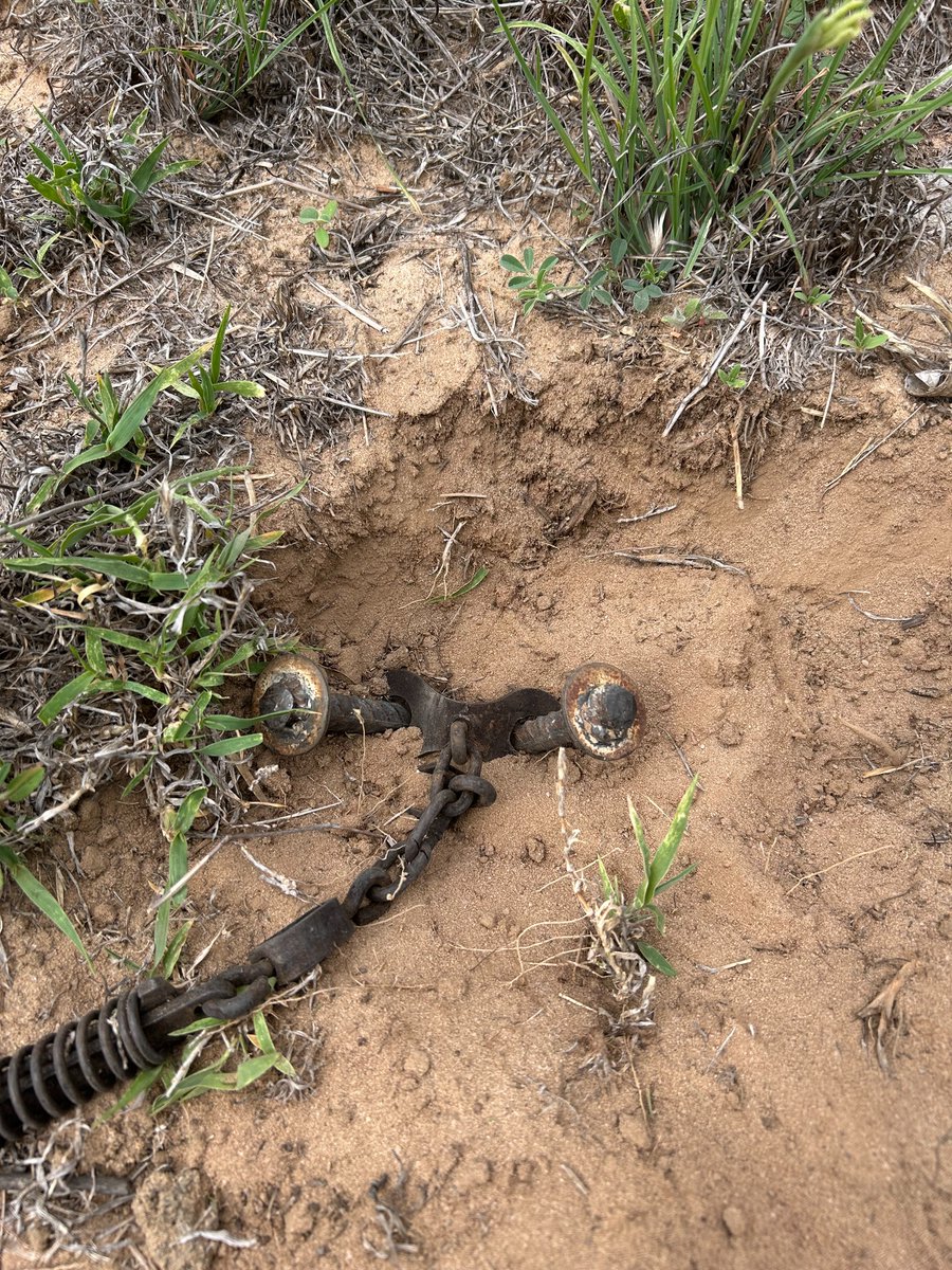 The Trapper tweet media