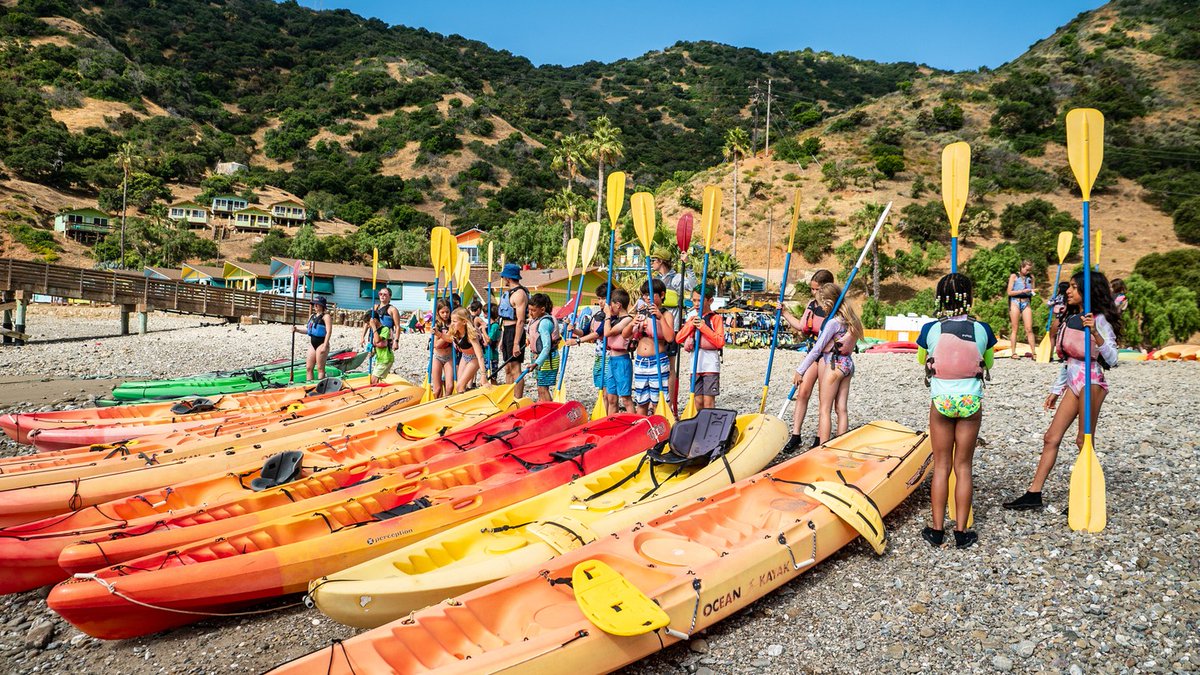 Catalina Island Marine Institute tweet media