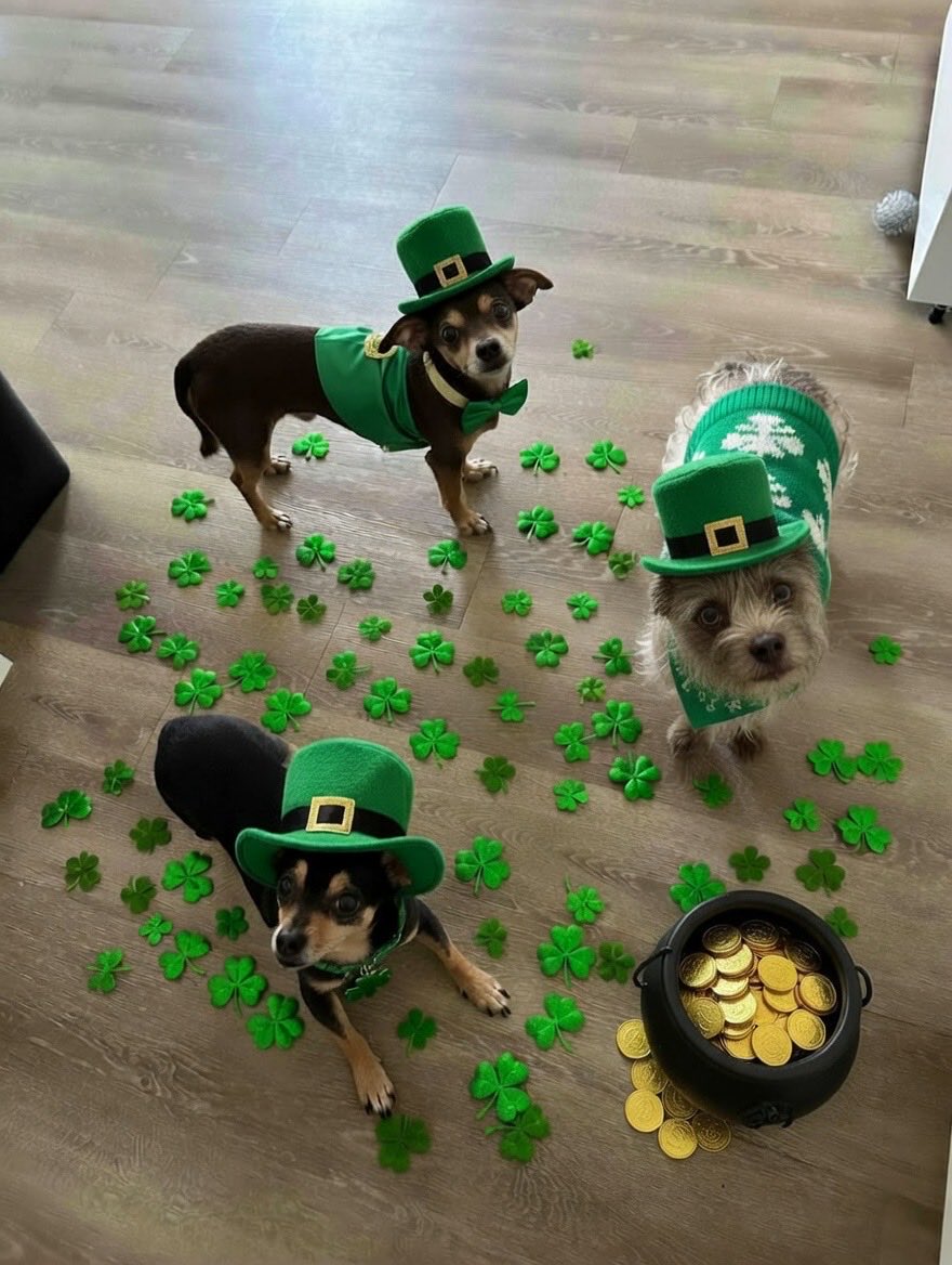 ARIZONA HEATWAVE tweet media