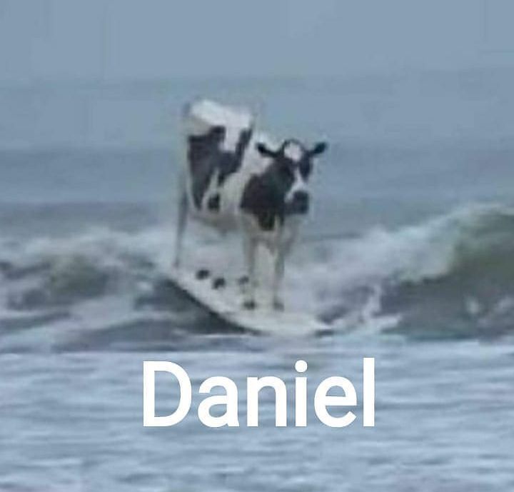 Epistephilic's tweet photo. @nocontextmemes https://t.co/VI6w2SBxKt
