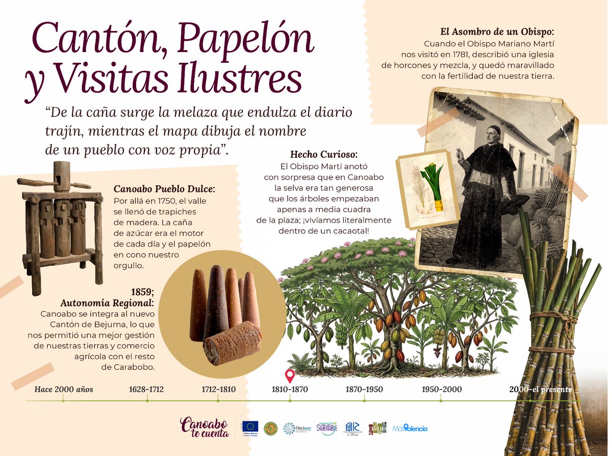 Fundación Tierra Viva tweet media