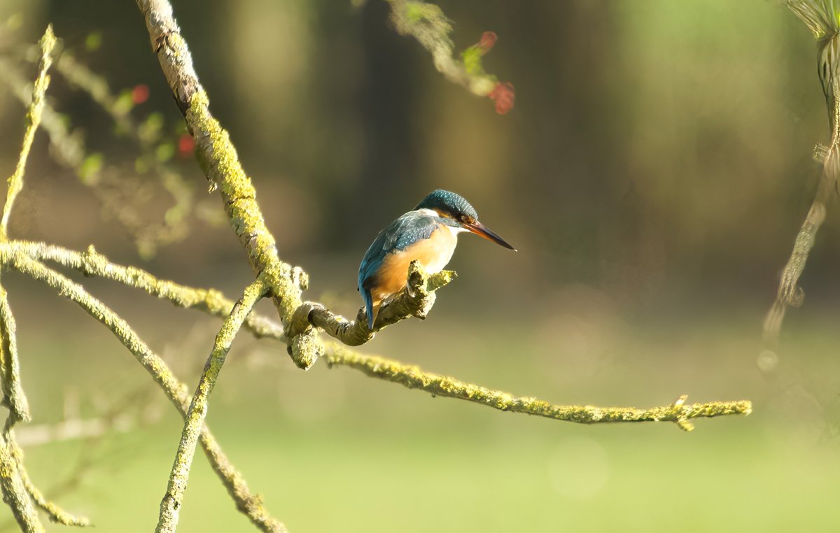 Pijnacker01 tweet media