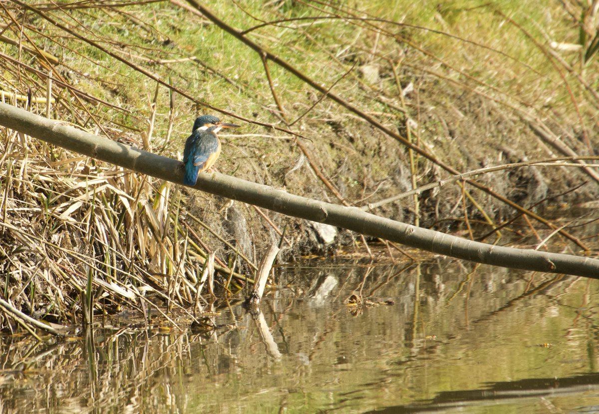 Pijnacker01 tweet media