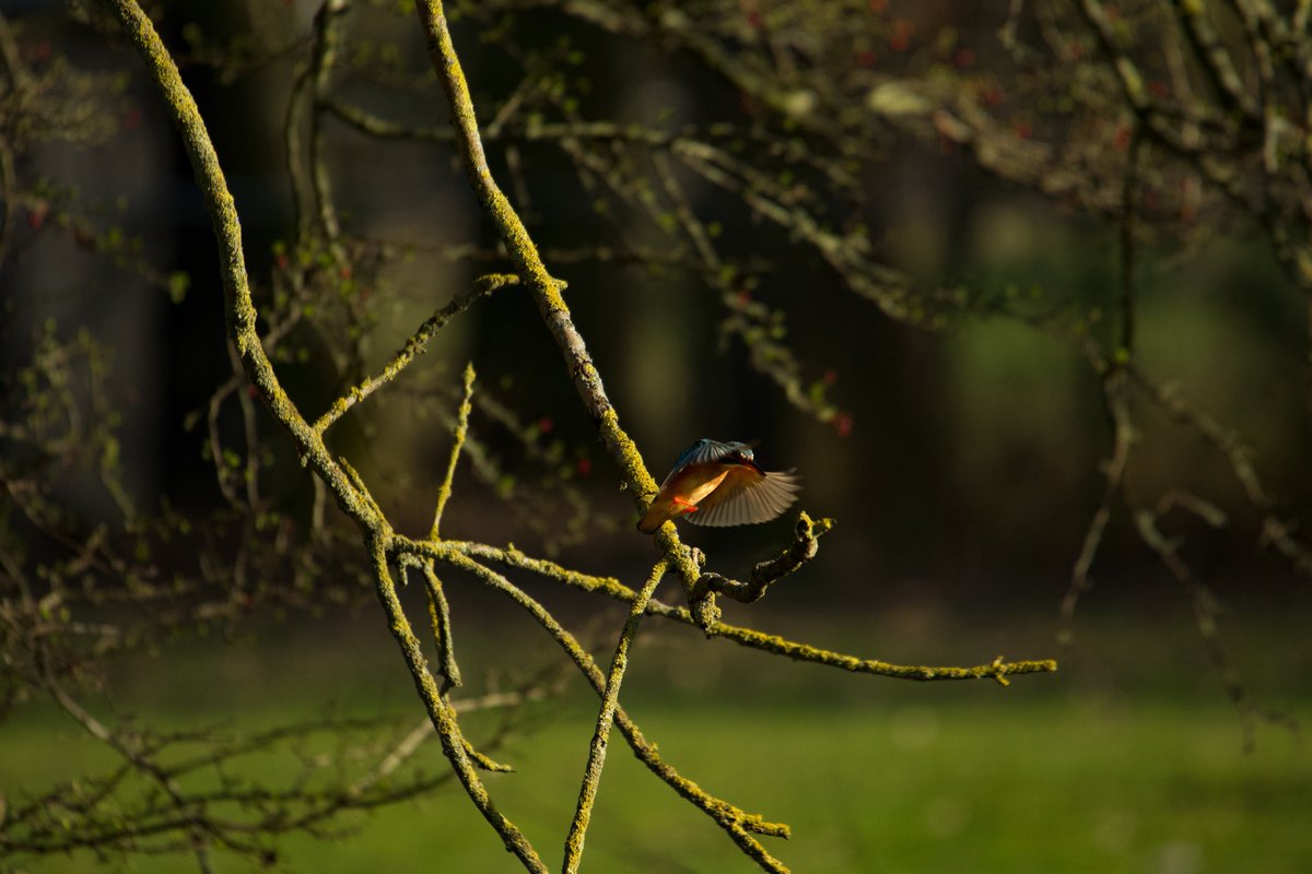 Pijnacker01 tweet media