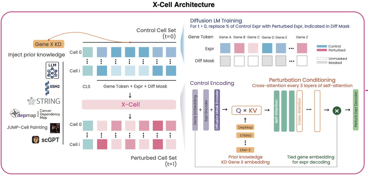๐ธ๐ฆ๐๐๐ค ๐๐๐ฅ๐๐๐๐๐๐๐ฅ๐๐ค tweet media