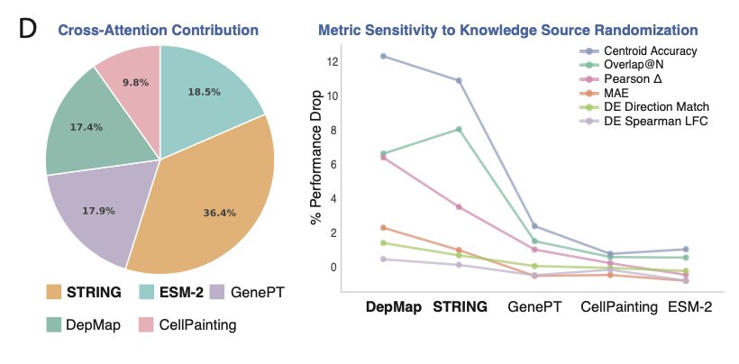 ๐ธ๐ฆ๐๐๐ค ๐๐๐ฅ๐๐๐๐๐๐๐ฅ๐๐ค tweet media