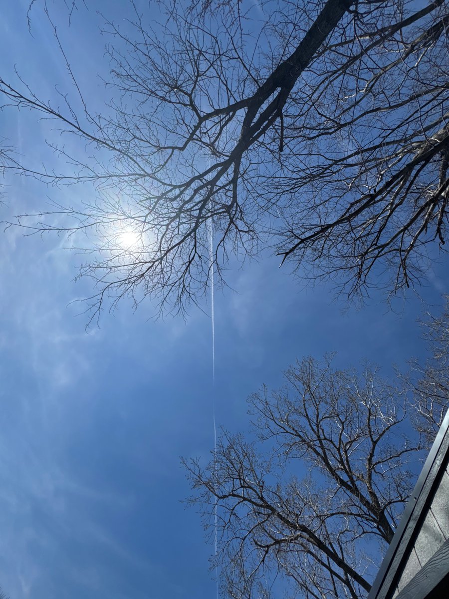 Joe Fantringham tweet media