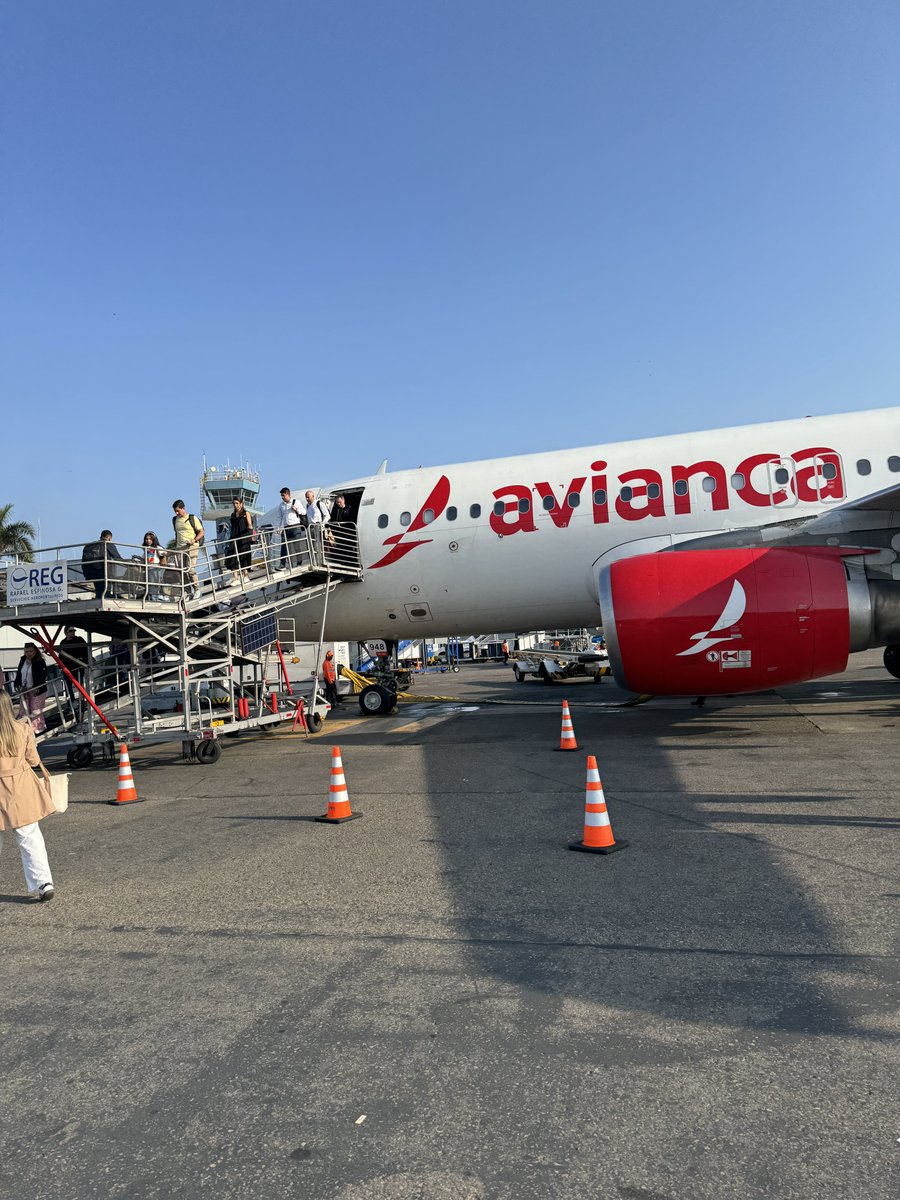 Leafs Papi tweet media