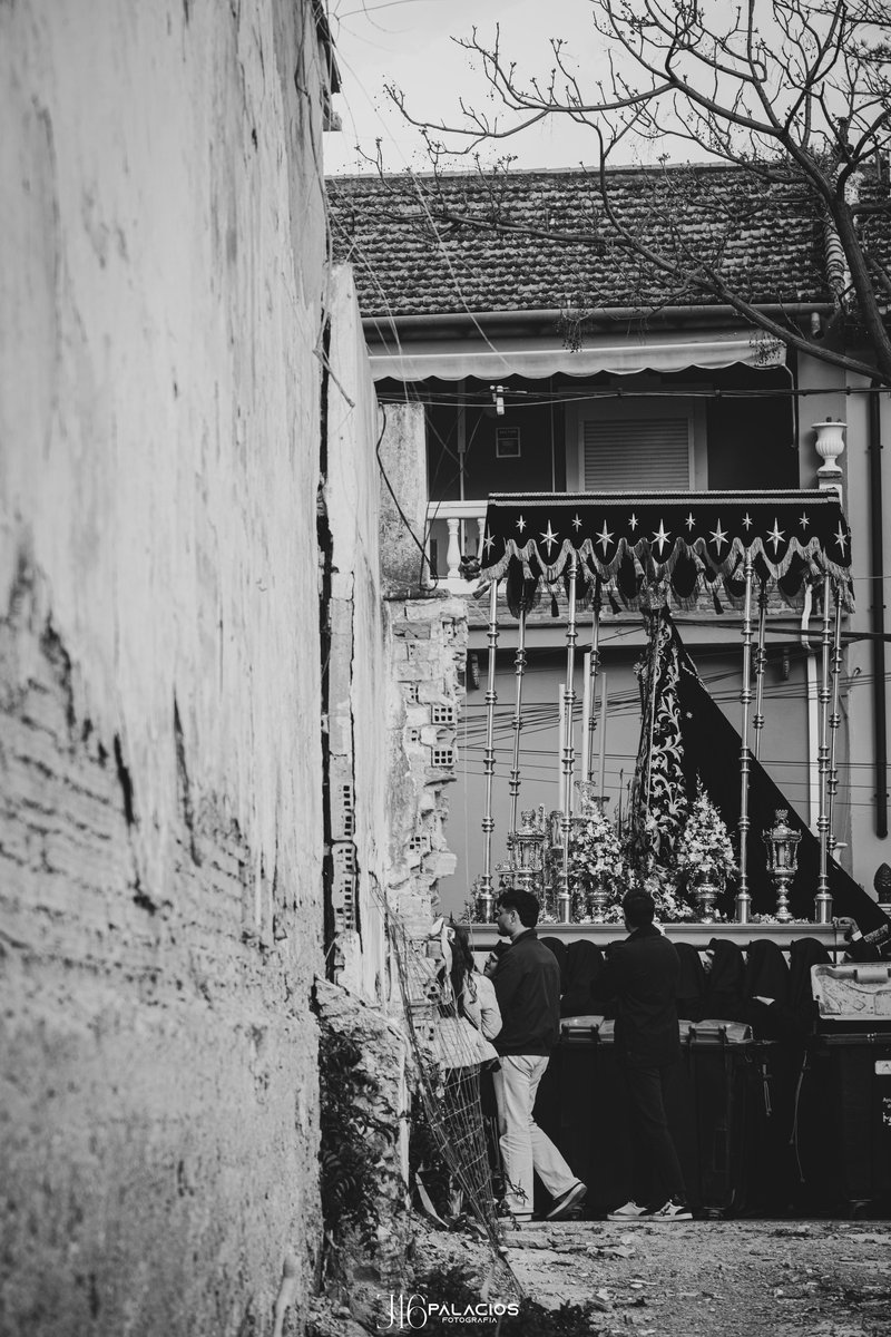 J16Palacios tweet media