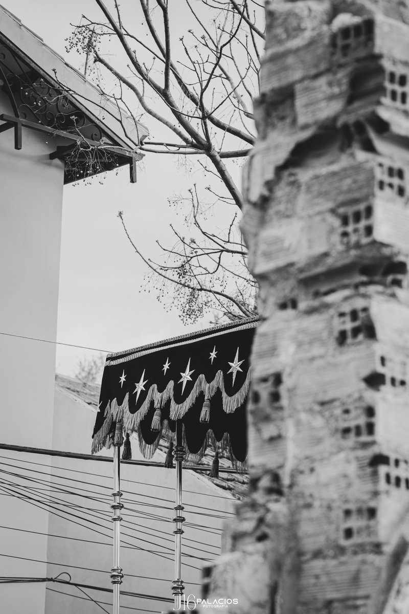 J16Palacios tweet media