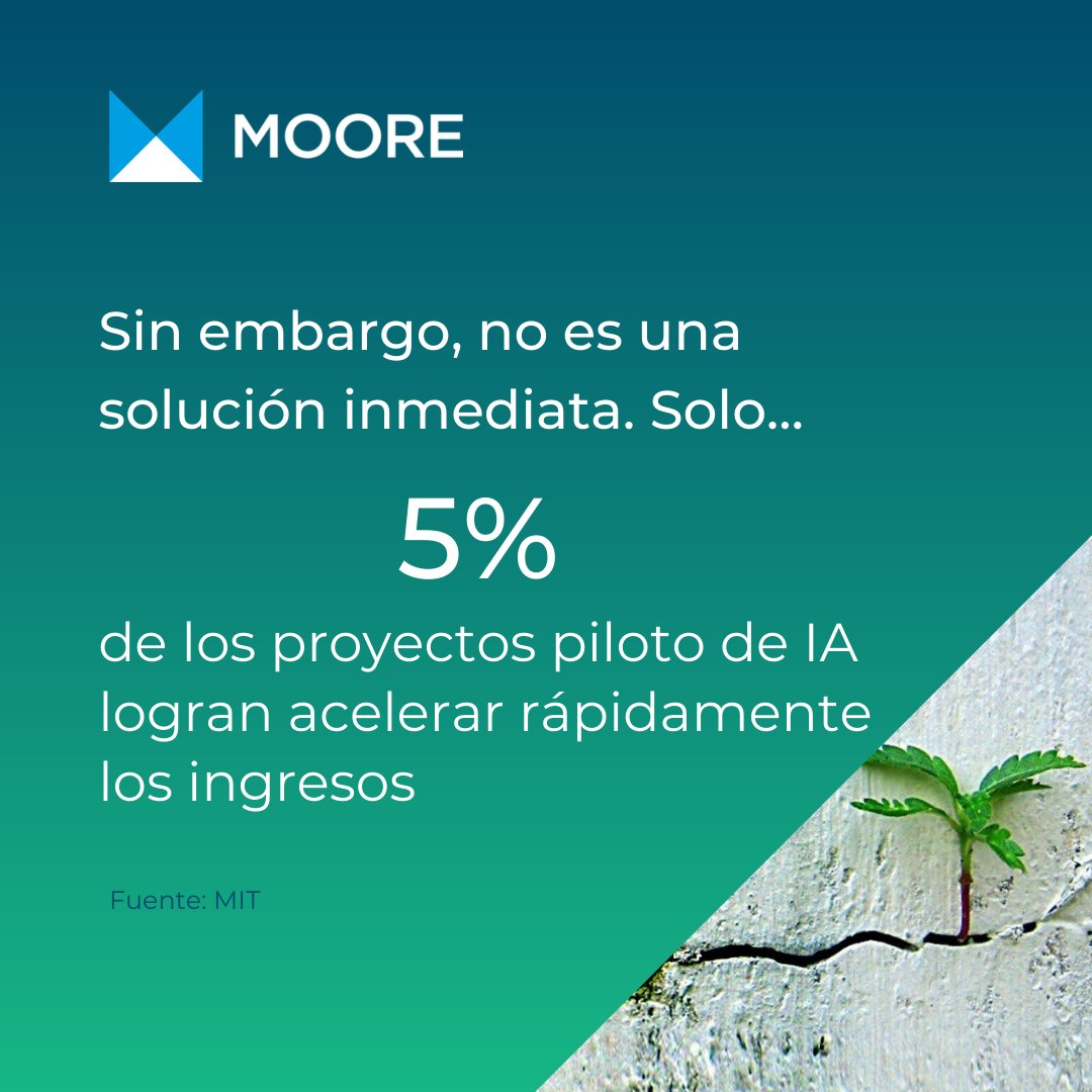 Moore Ecuador tweet media