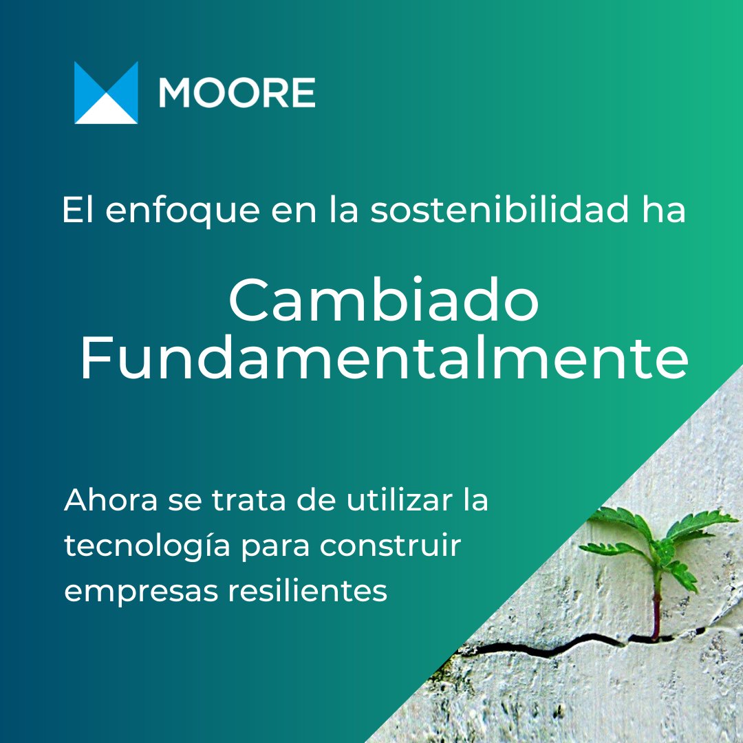 Moore Ecuador tweet media