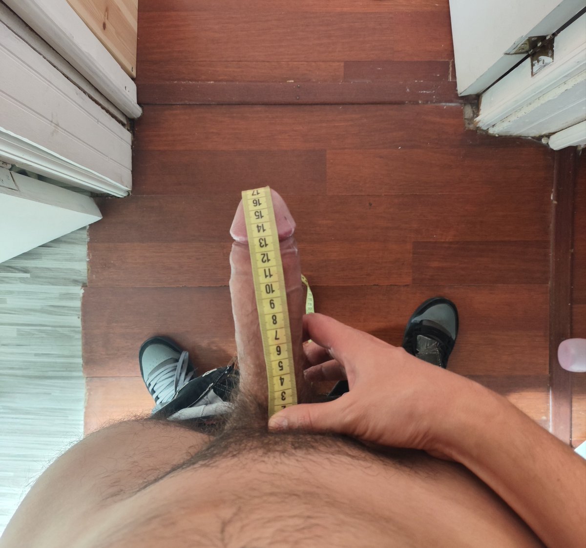 Ariano Penetrator tweet media