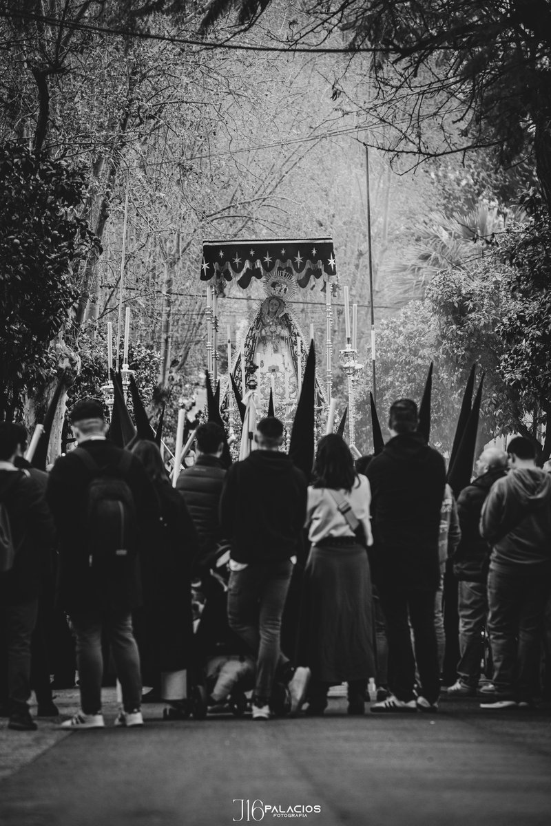 J16Palacios tweet media