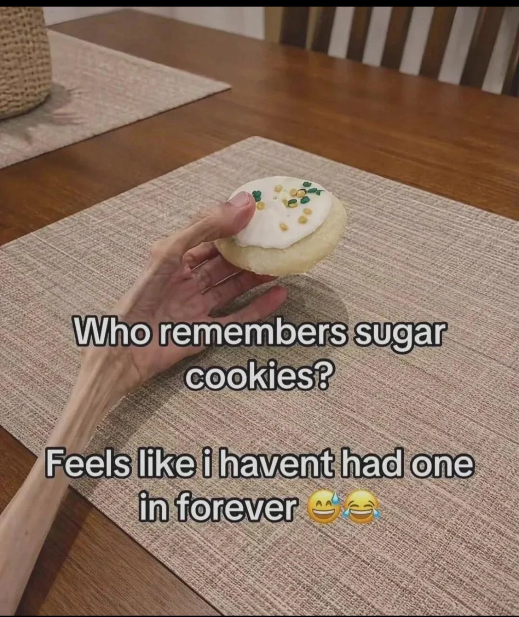 🎞️ shitposts.mp4 🎞️ tweet media