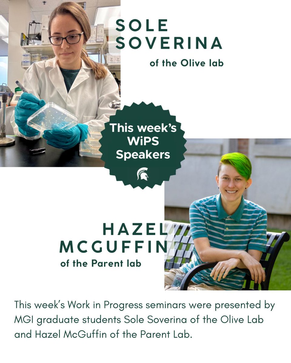 MSU Microbiology, Genetics, & Immunology tweet media