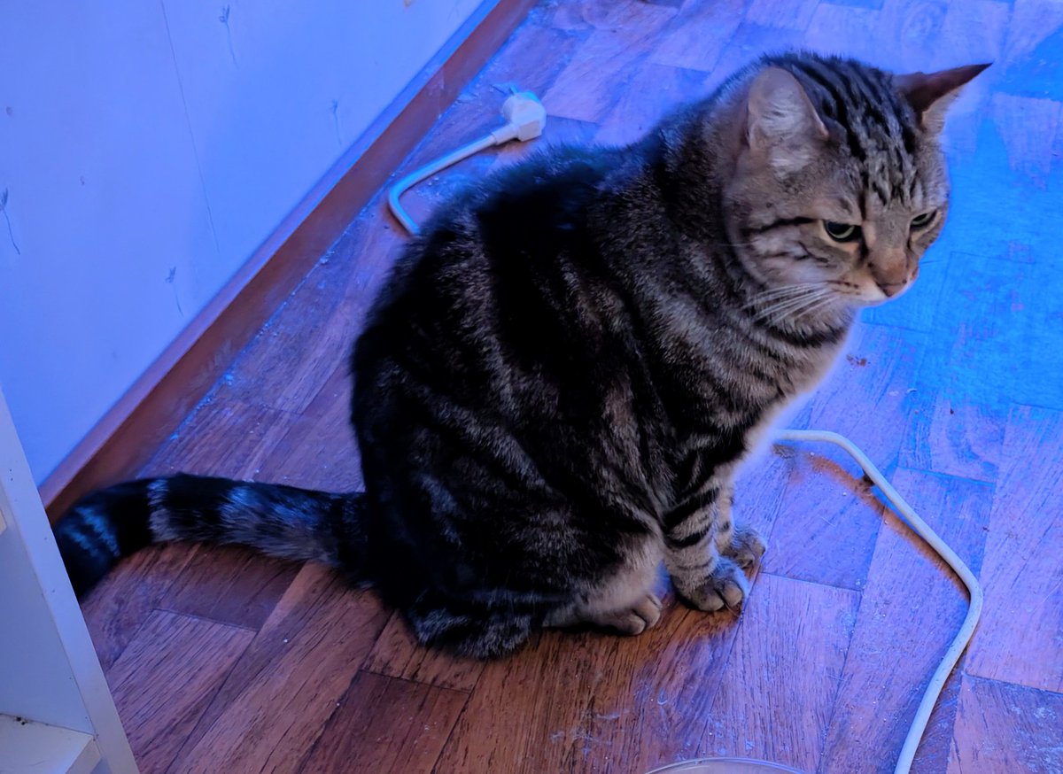 Anders Hagman tweet media