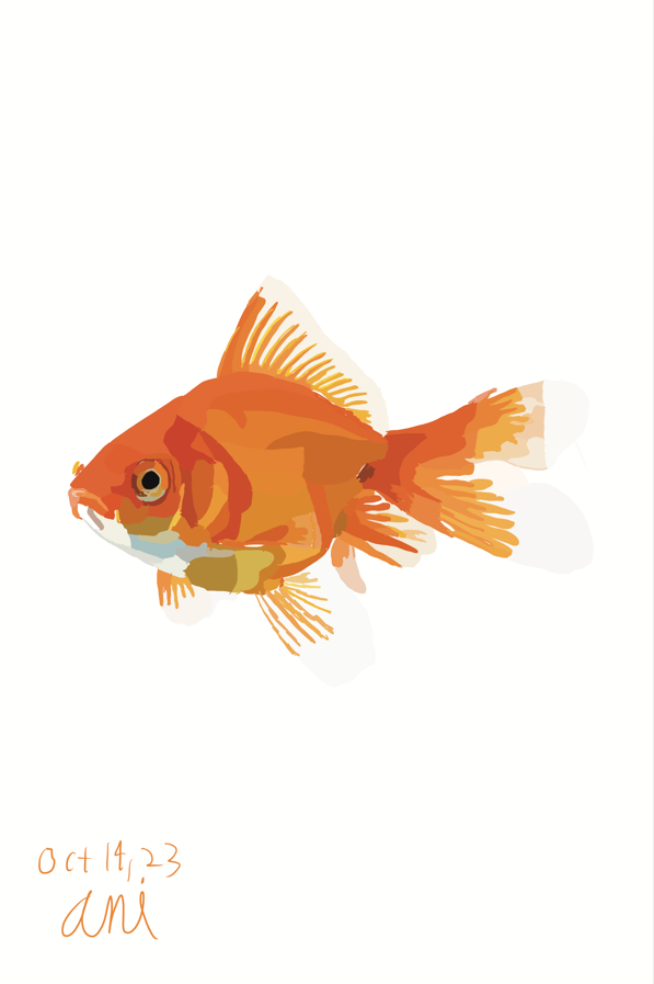 Mark Wright tweet media